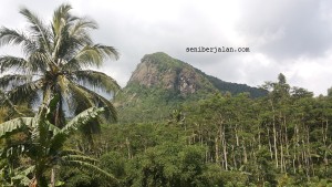 bukit mendelem 1 - kabar wisata - seni berjalan