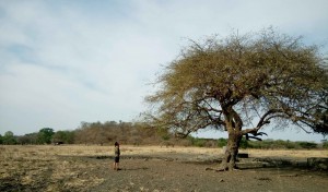 baluran 2 - kabar wisata - seni berjalan