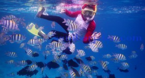 Snorkeling di Pulau Rubiah (seniberjalan)