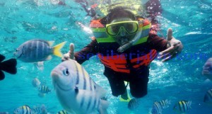 Pulau Rubiah (seniberjalan)