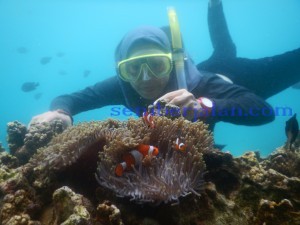Snorkeling di Pulau Rubiah Aceh