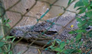 "lokasi rekreasi di batam.jpg"