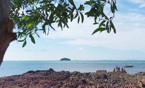 Pulau Dempu Batam/seniberjalan