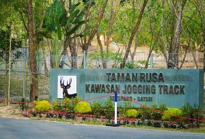 https://seniberjalan.com/taman-rusa-sekupang-batam-sebagai-area-bersantai-dan-jogging/