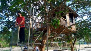 rumah-pohon-jambu-madu