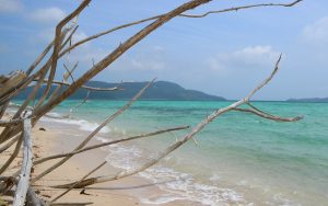 "Pulau Sekeling.jpeg"