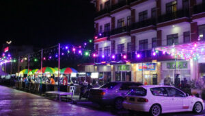 "taman engku hamidah.seniberjalan.jpg"