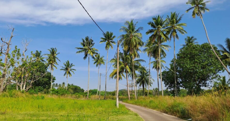 Pantai Bahagia Nongsa, Batam (seniberjalan)