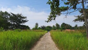 Pantai Bahagia Nongsa, Batam (seniberjalan)