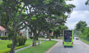 bus bertingkat di singapura