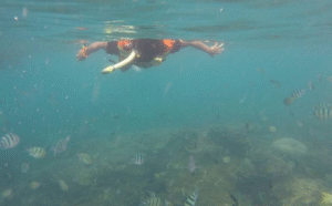 Snorkeling di pulau lengkuas