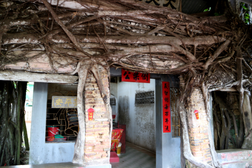 Banyan Tree Temple