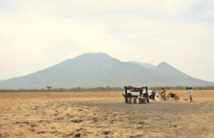 Taman Nasional Baluran (seniberjalan)