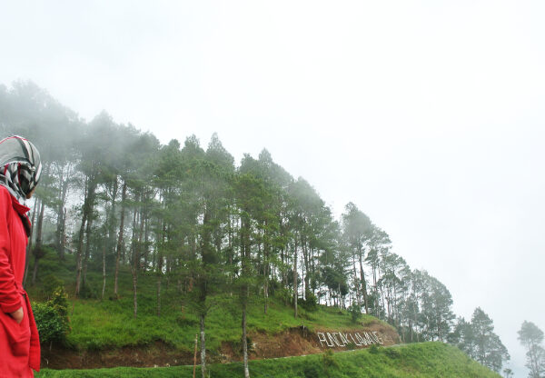 Puncak Lawang Sumatera Barat (seniberjalan0