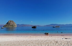 Pantai Pink Pulau Padar/seniberjalan