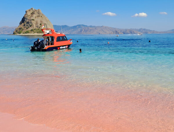 Pantai Pink Pulau Padar/seniberjalan