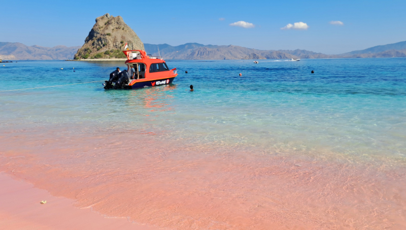 Pantai Pink Pulau Padar/seniberjalan