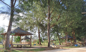 Pantai Ocarina Batam/seniberjalan