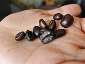 biji kopi_seniberjalan