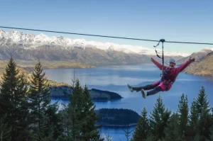 wisata halal Selandia Baru