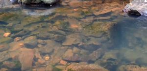 Telaga Biru Batam_seniberjalan