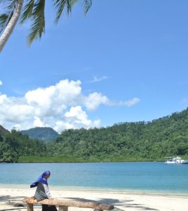 Pulau Pasumpahan, Padang/seniberjalan