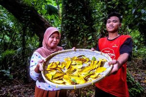Bahan-baku-daun-pewarna-alami-Photo_-LTKL-Gampiri-Interaksi.