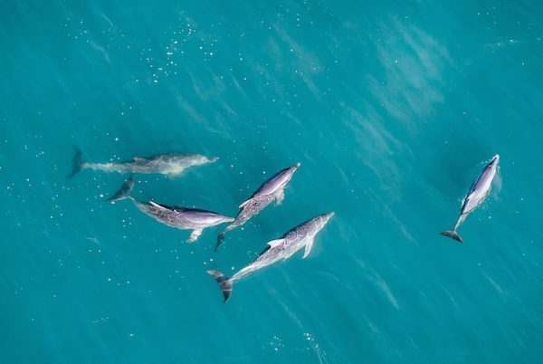 Shark Bay