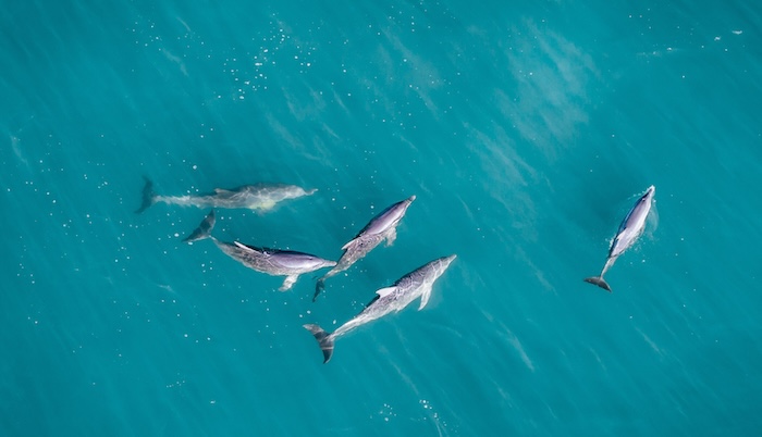 Shark Bay