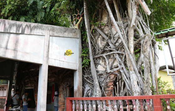 vihara Tao Sakong
